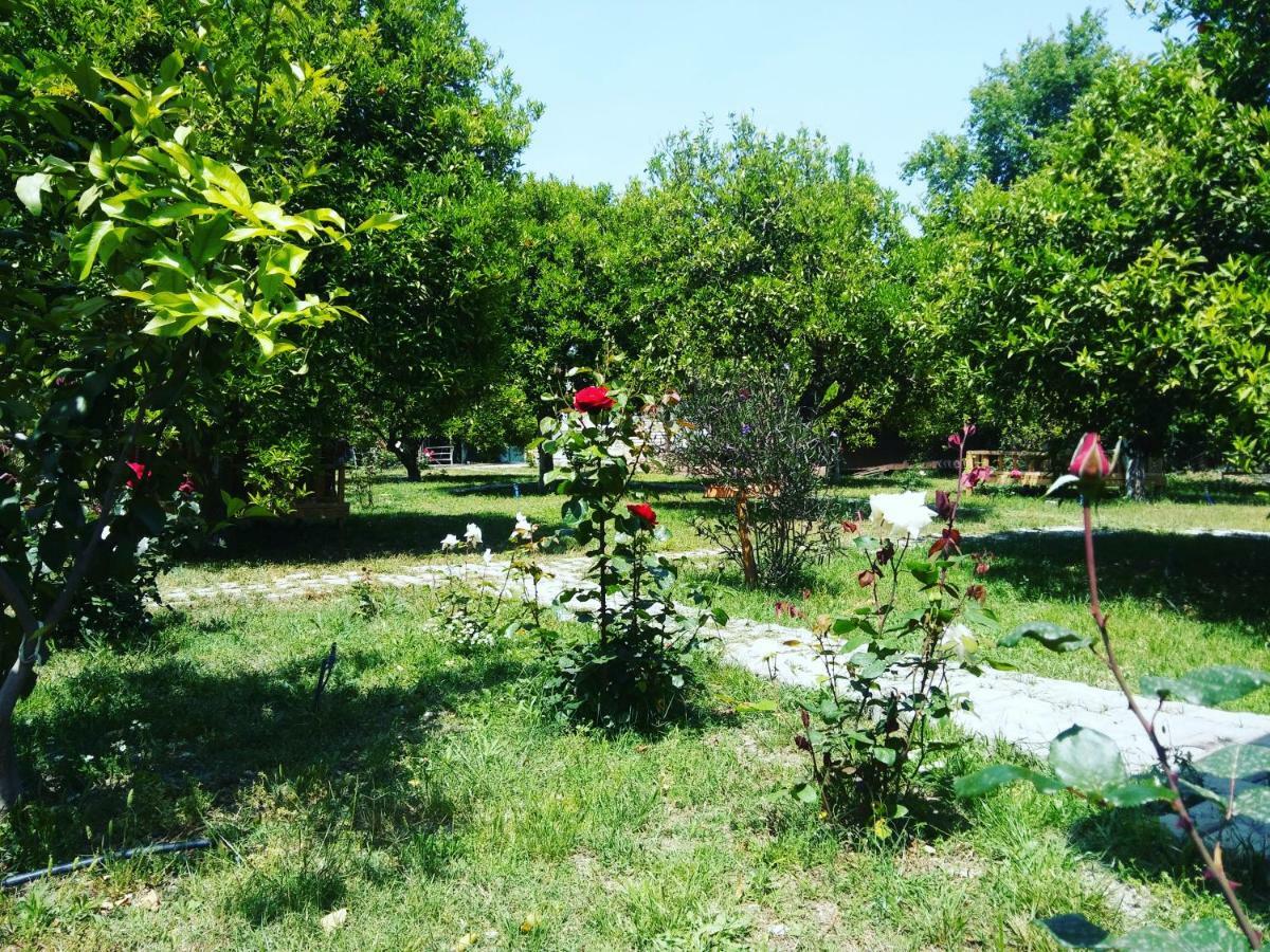 Sakli Bahce Pension Çıralı Exterior foto